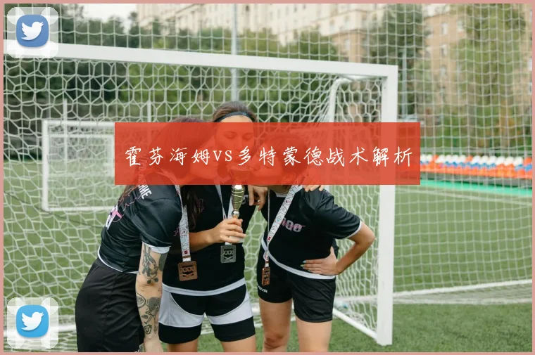 霍芬海姆vs多特蒙德战术解析