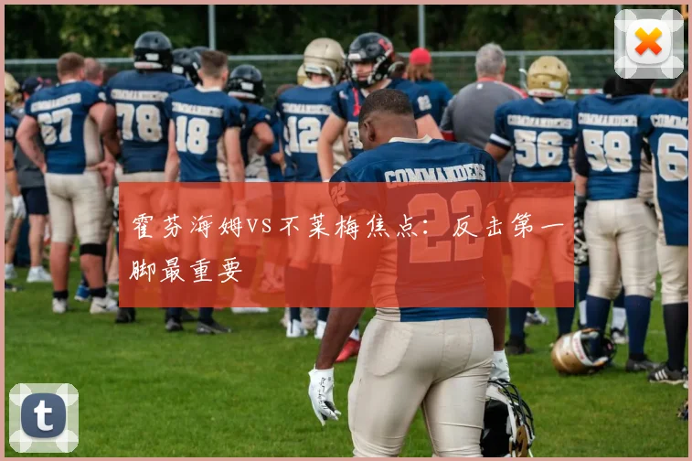 霍芬海姆vs不莱梅焦点：反击第一脚最重要